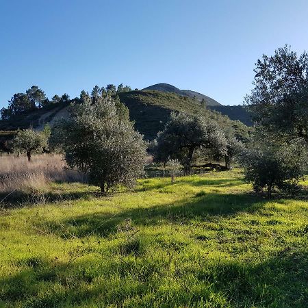 Casa Das Oliveiras Алвадос Екстериор снимка