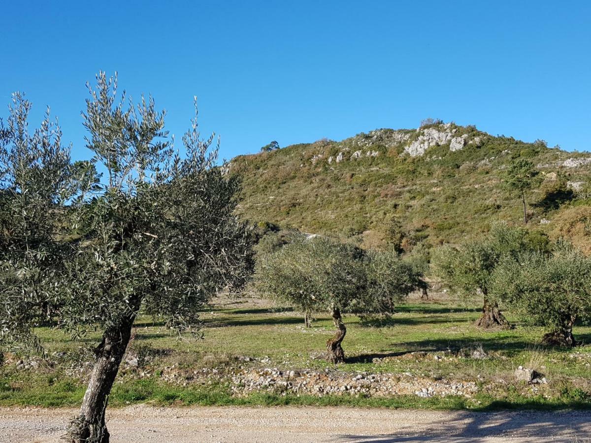 Casa Das Oliveiras Алвадос Екстериор снимка